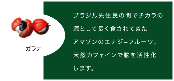 オルガニックの原材料 ガラナ アマゾンのエナジーフルーツ。天然カフェインで脳を活性化します