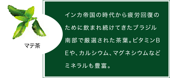 オルガニックの原材料 マテ茶 インカ帝国の時代から疲労回復のために飲まれ続けてきた。ビタミンB、ビタミンE、カルシウム、マグネシウムなどミネラルも豊富